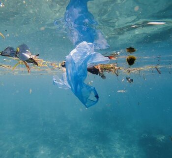 Just five companies are responsible for 24% of plastic waste. The EU is going to fight with packaging, it has a new law