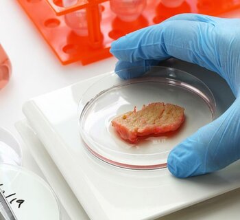 První na světě. Česká firma má oficiální povolení vyrábět laboratorní maso pro mazlíčky