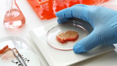 První na světě. Česká firma má oficiální povolení vyrábět laboratorní maso pro mazlíčky