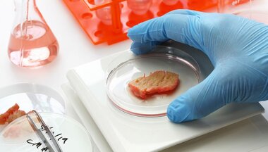 Prvý na svete. Česká firma má oficiálne povolenie vyrábať laboratórne mäso pre miláčikov Prvý na svete. Česká firma má oficiálne povolenie vyrábať laboratórne mäso pre miláčikov